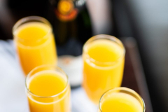 Bottomlessmimosa